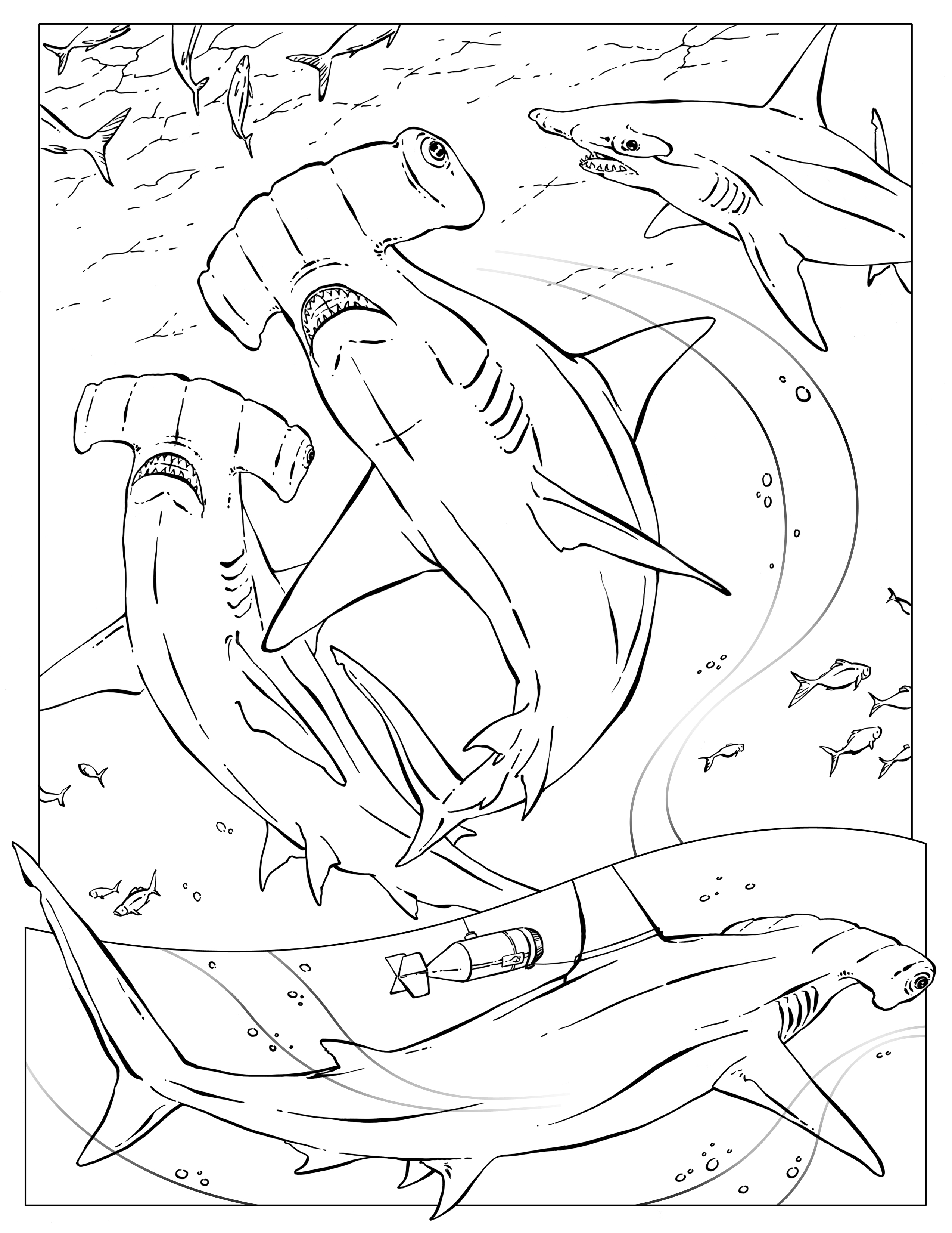 Hammerhead Shark Coloring Pages 6