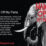 WWF_HandsOffMyParts
