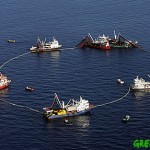 overfishing-of-tuna_greenpeace